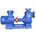 Cyz-a Self-Priming Centrifugal Fuel Electric Pump